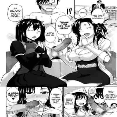 [Fue] Inma no Mikata! Succubi's Supporter! [English] [biribiri, Hennojin] [Decensored]