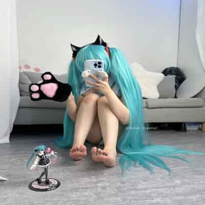 Seele麦麦 - 初音未来