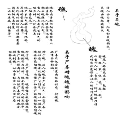 [skyzen] Jiangshi Musume Chapter 1-10 Side Story（Chinese）